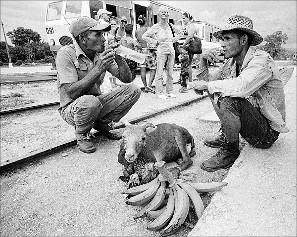 men-rum-goat-chickens-bananas-Guaro
