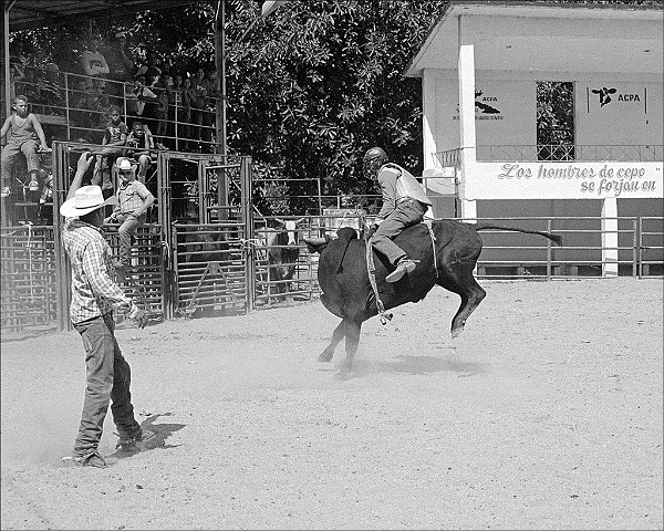 rodeo-bull-rider-Sancti-Spiritus