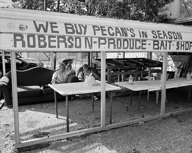 we-buy-pecans