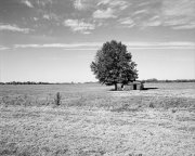 house-tree-empty-field
