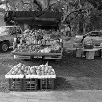 fruit-&-vegetable-stand