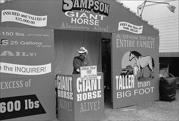 giant-horse-exhibit-at-Apop 
