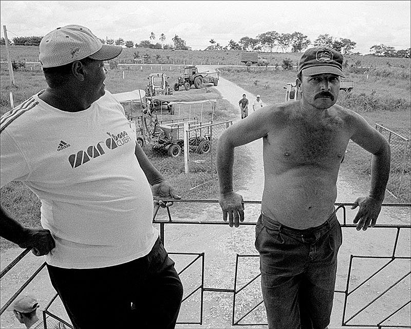 ag-workers-on-balcony