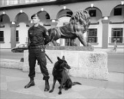 special-police-w-black-dog-Prado